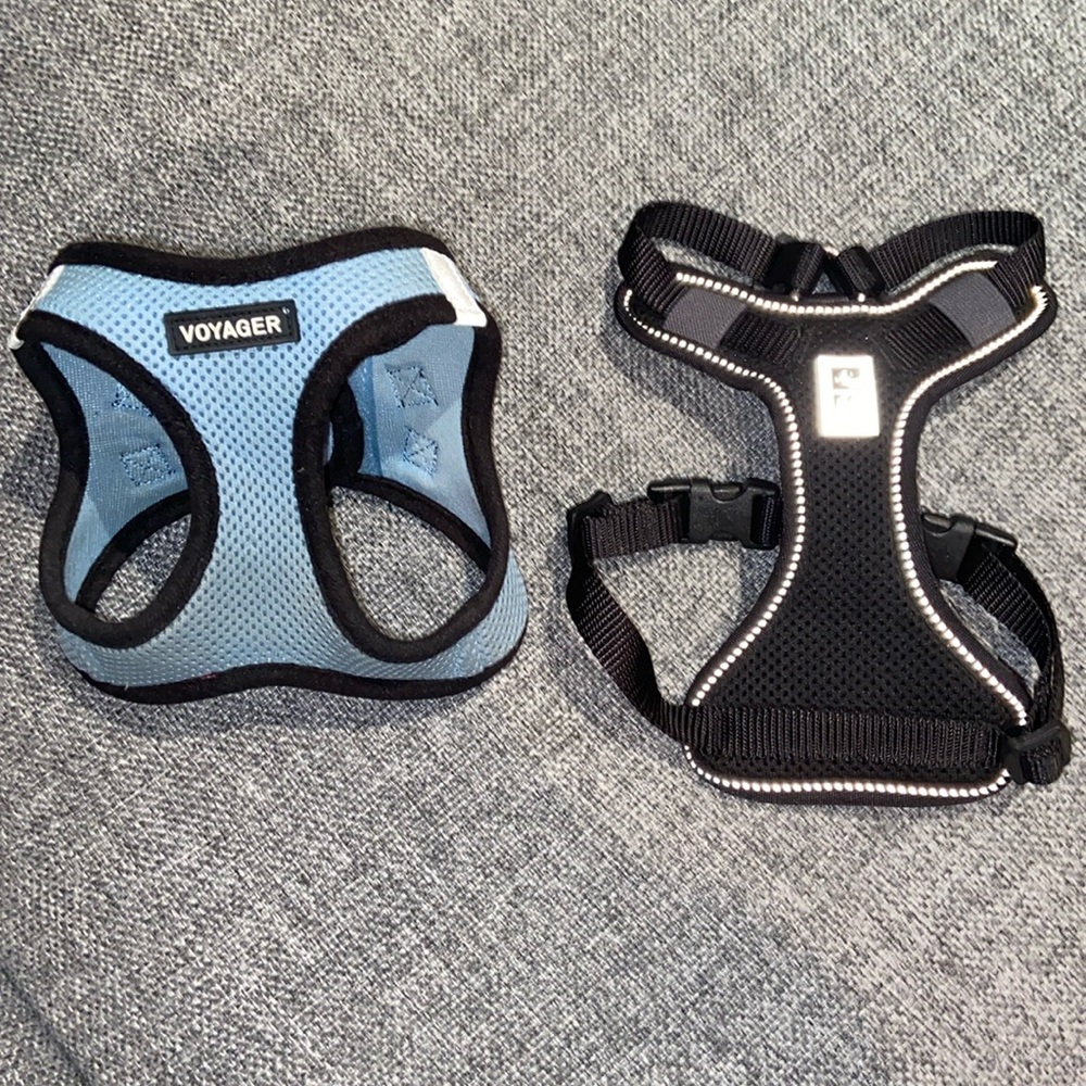 Harness size XS